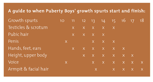 puberty for boys growth chart