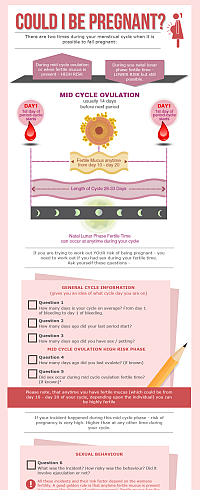 Could I be Pregnant Infographic small